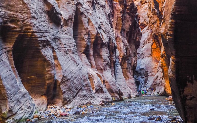 A Guide on How to Hike The Narrows in Zion National Park