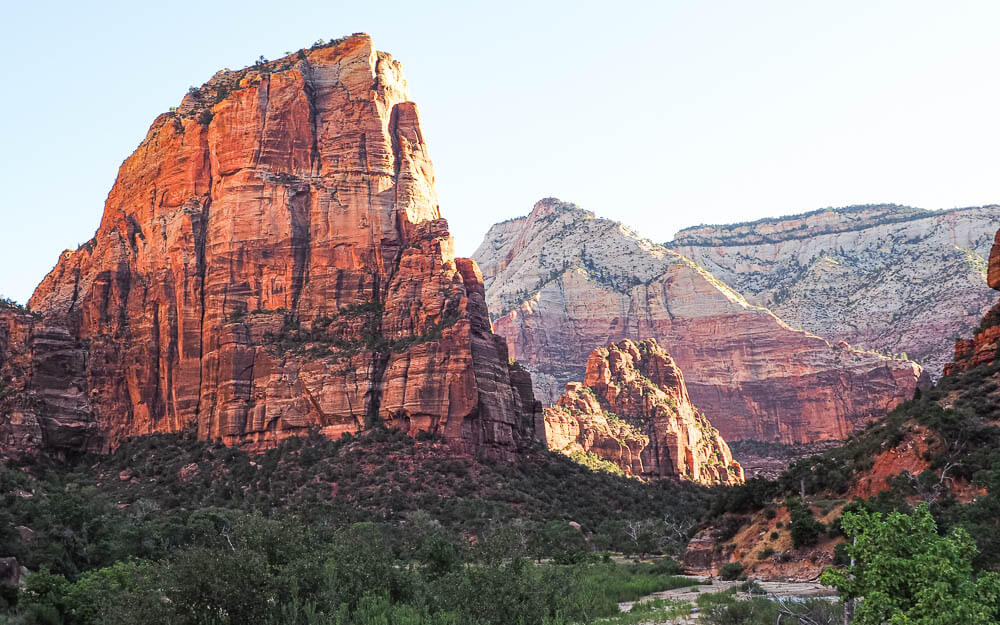 are dogs allowed in angels park zion national park