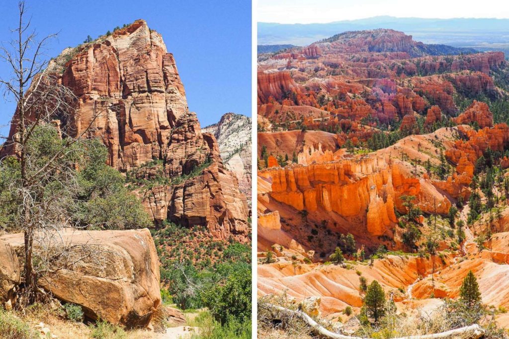 View of Zion valley from above, and high concentration of hoodoos