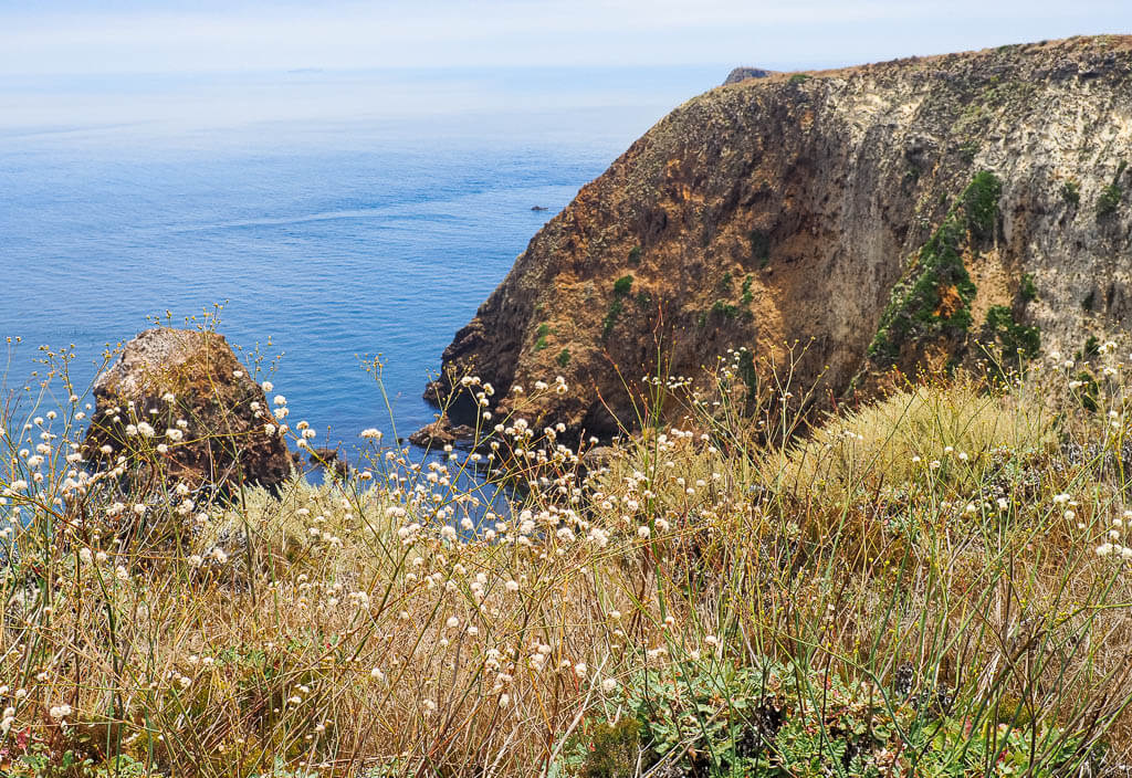 Walk along the impressive cliffs on the Channel Islands, one of the west coast national parks.