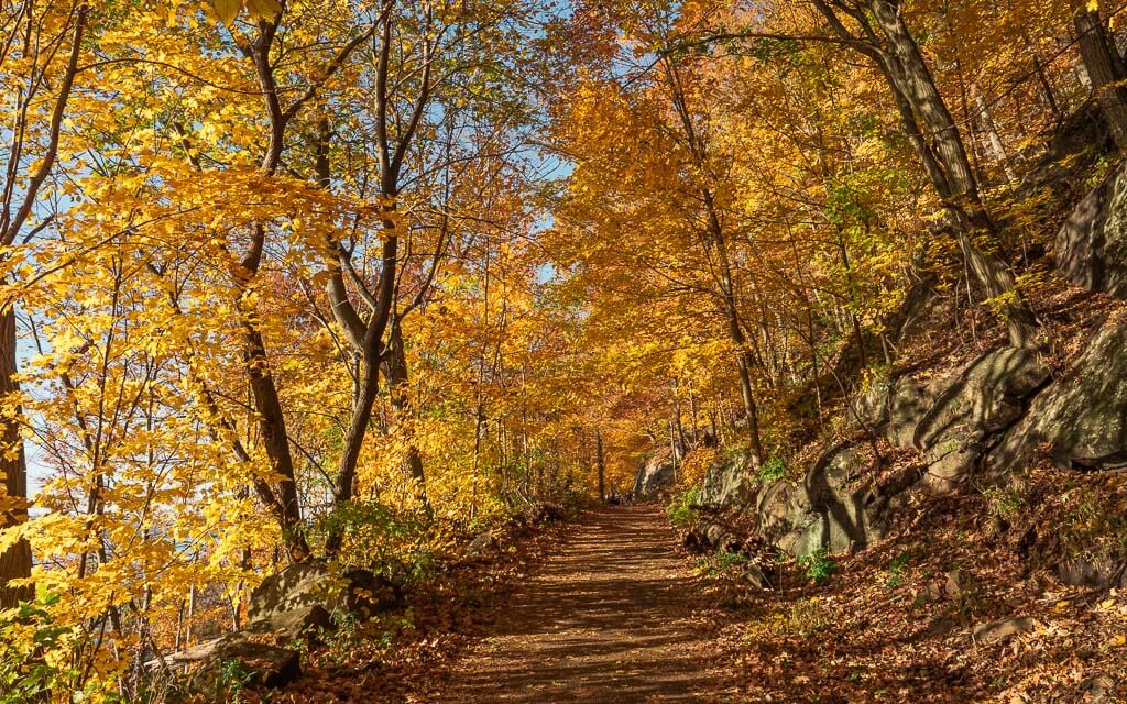 Beautiful fall foliage on the Cornish Estate Trail