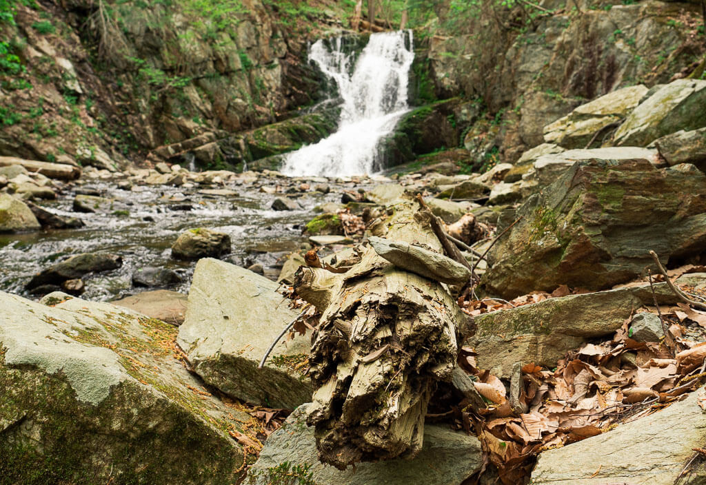 Different obstacles and the Indian Brook Falls in the background