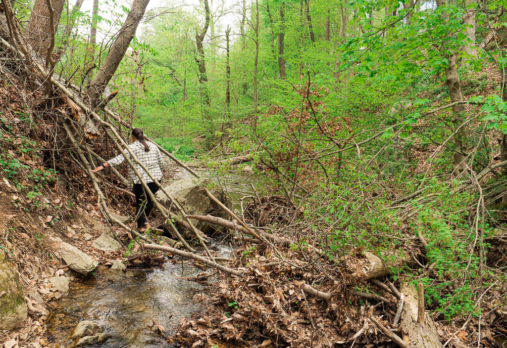 Rachel staying next to the stream on the unmaintained Indian Brook Falls Trail