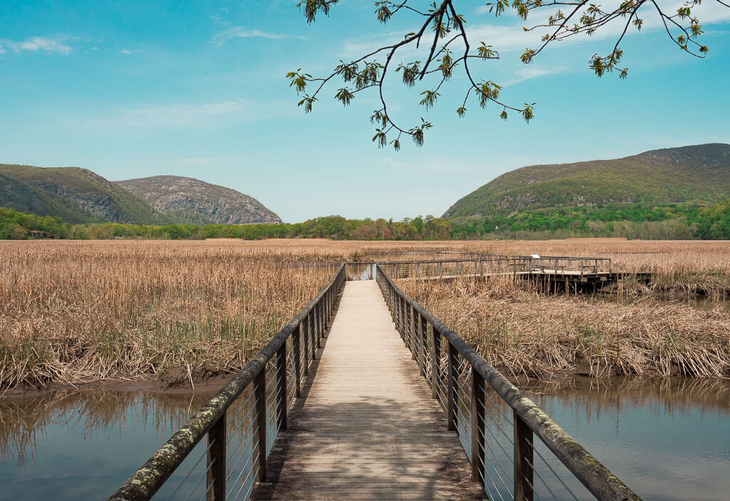 Boardwalk leading to the tidal marsh