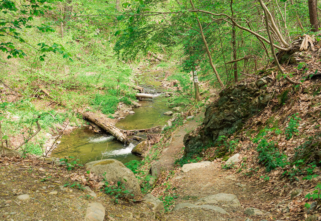 Ungroomed trail to Indian Brook Falls