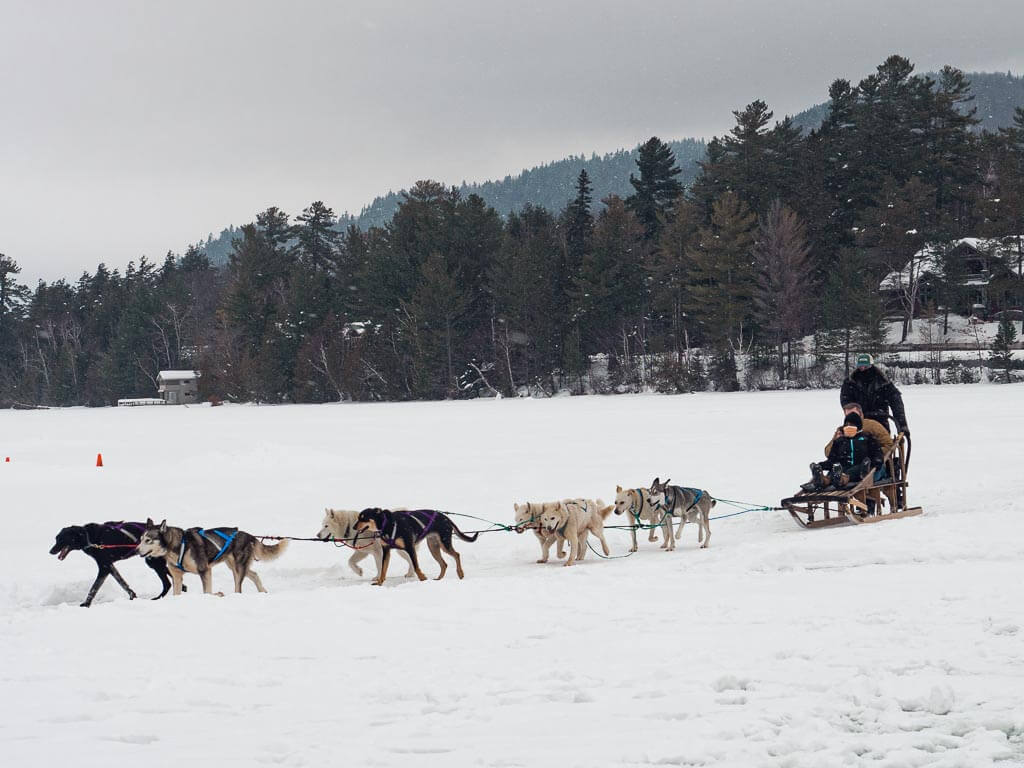 Dog sledding on the frozen Mirror Lake