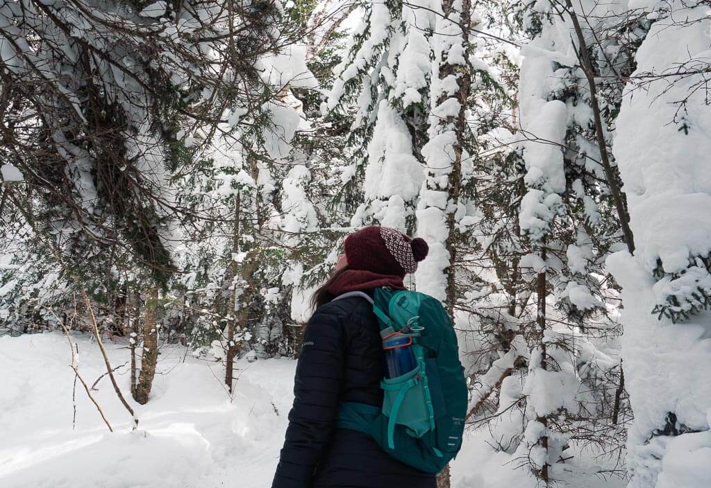 Dana between white trees in the winter in Lake Placid