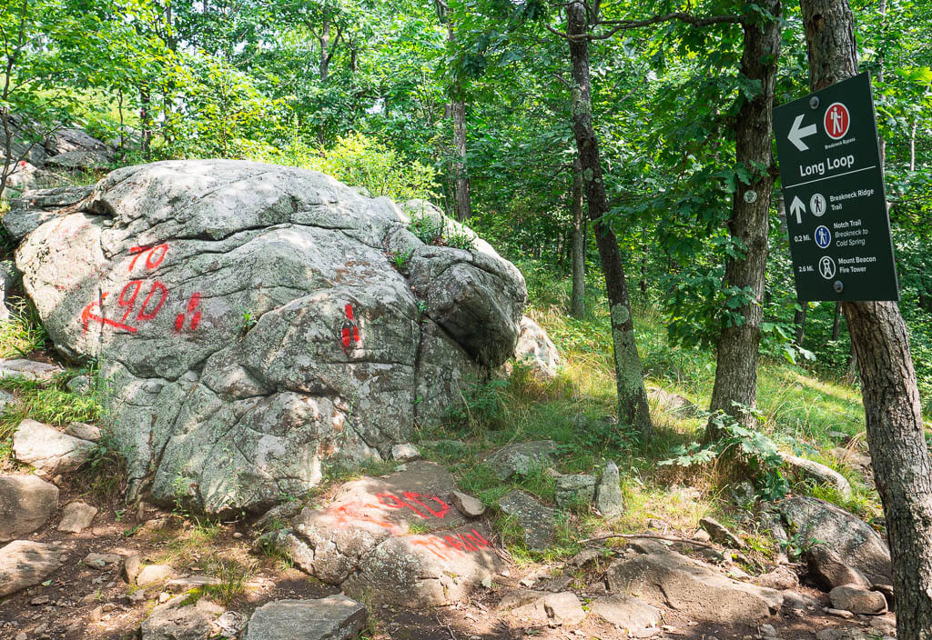 Follow the red trail markers while hiking Breakneck Ridge