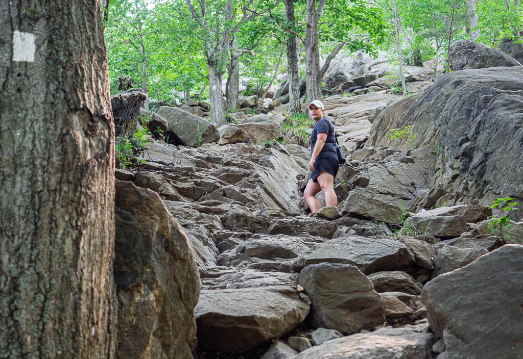 While hiking Breakneck Ridge you will come to various rock scrambling sections
