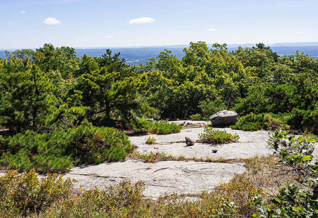 Rocky section along Gertrudes Nose Trail