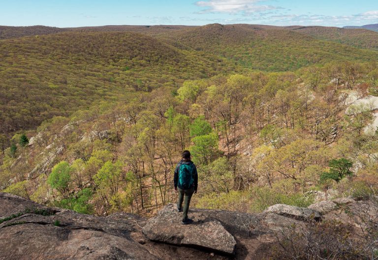 The Ultimate Guide to 11 Best Cold Spring Hiking Trails