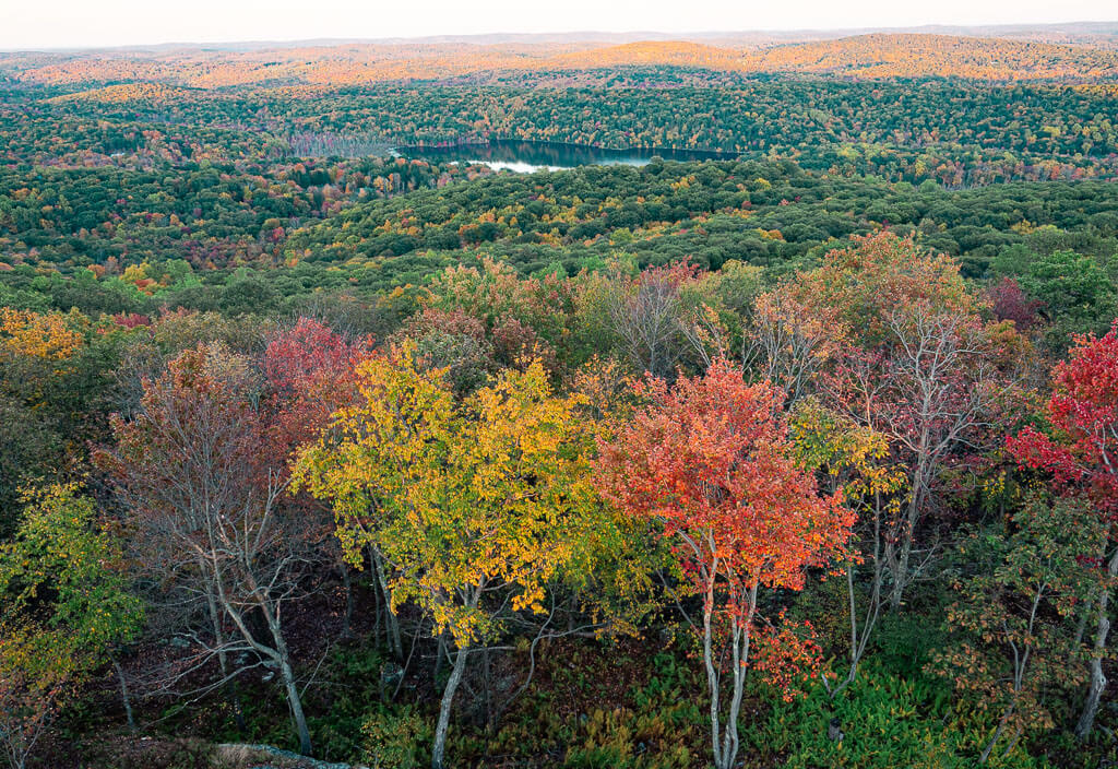 Views of the colourful fall foliage from the Ninham Fire Tower