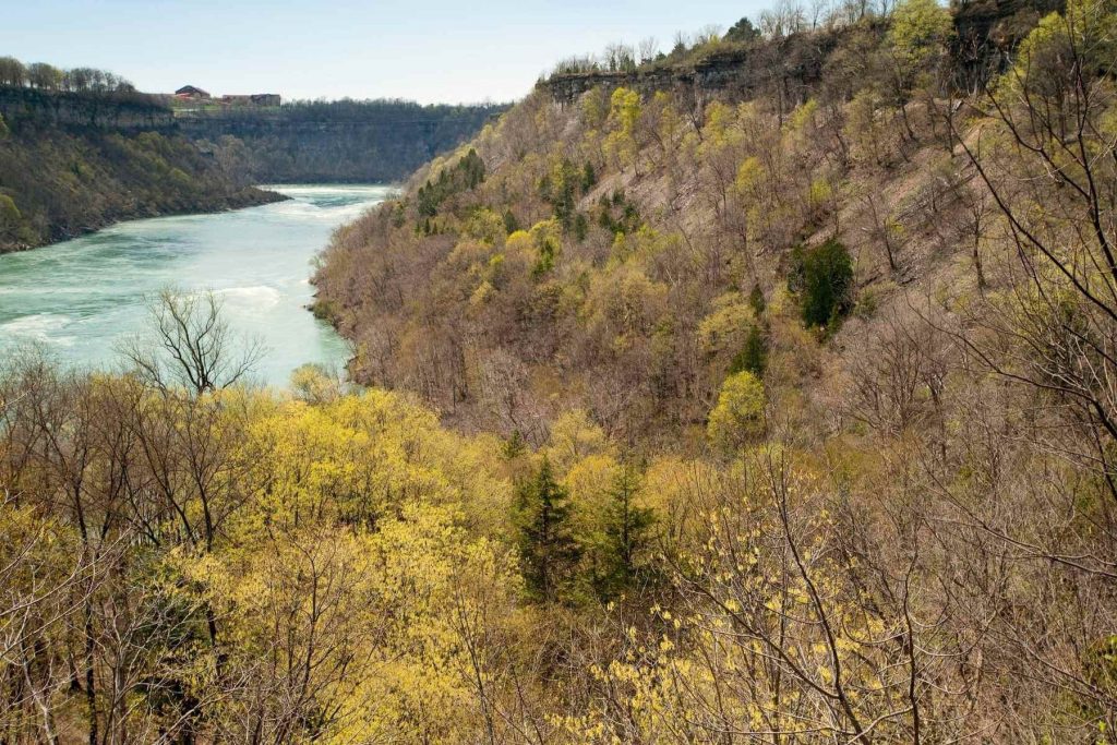 Walk along the Niagara Gorge Rim Trail