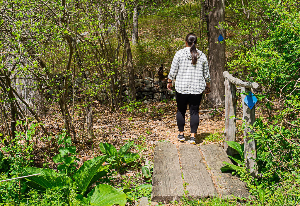 Rachel is walking on a bridge to the Constitution Marsh, one of the best Cold Spring hiking trails