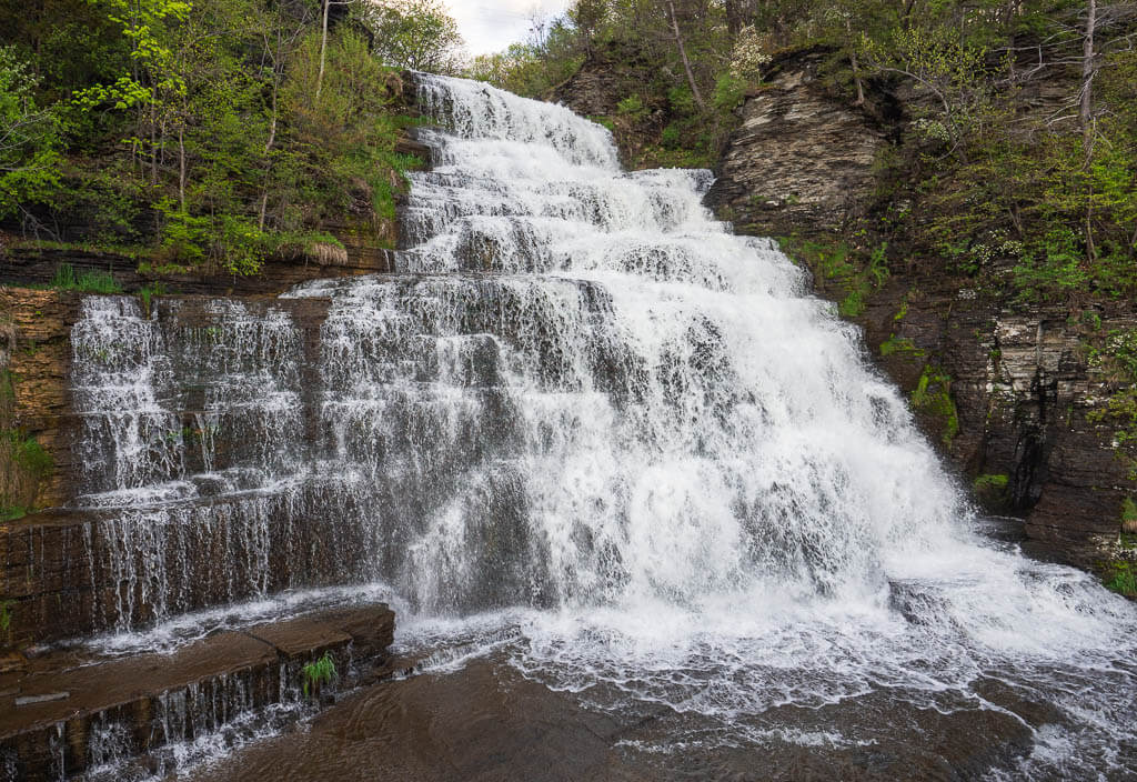 The energetic Hector Falls right next to the road