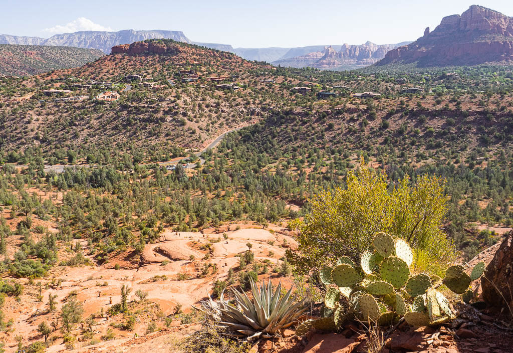 Vista from the Cathedral Rock trail