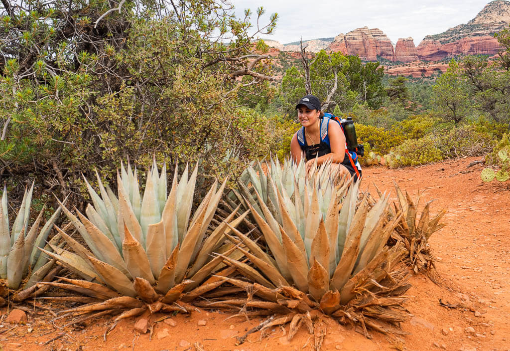 Rachel is standing behind desert plants on the Devils Bridge trail