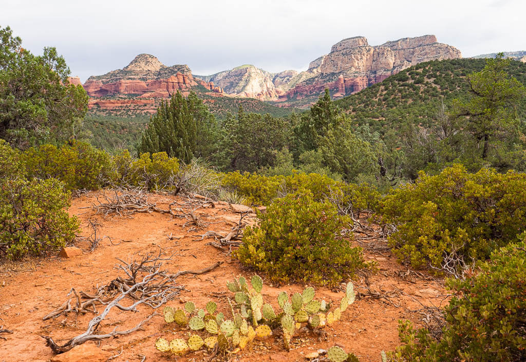 Red rock landscape on the Devils Bridge trail