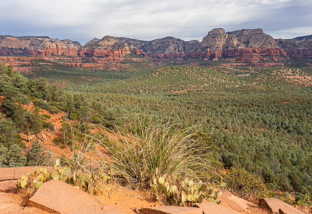 Red rocks in the background