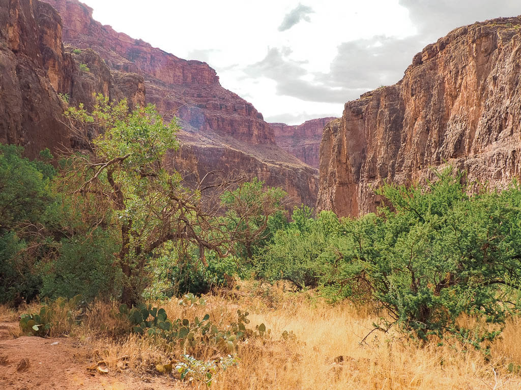 High canyon cliffs of the Grand Canyon