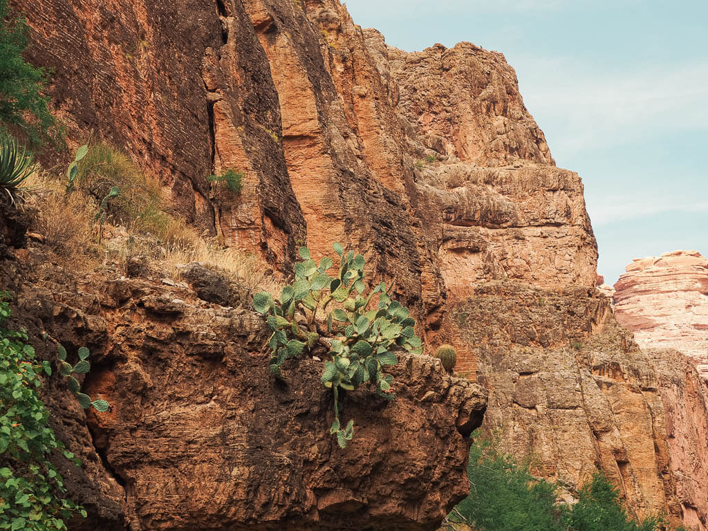 Beautiful rough landscape of Havasupai Grand Canyon