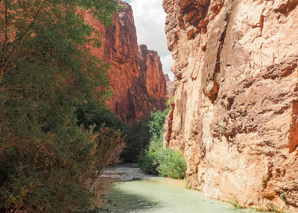 Havasu Creek surrounded by high canyon cliffs