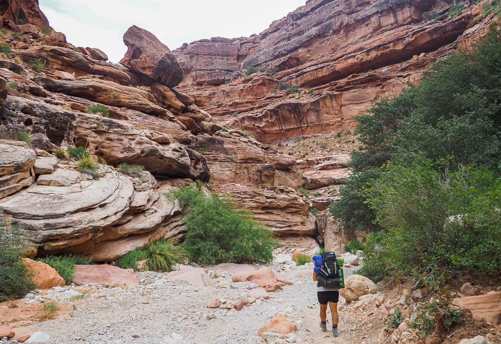 Rachel hikes down the Grand Canyon to reach the Havasu Falls