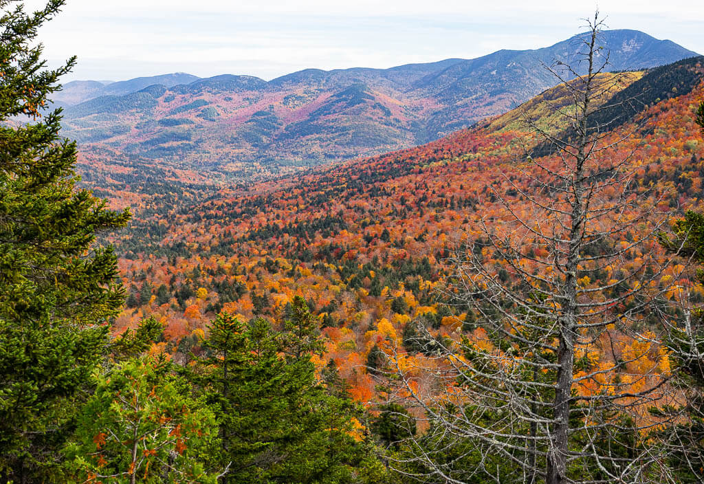 Views from the North Overlook along the Indian Head Trail