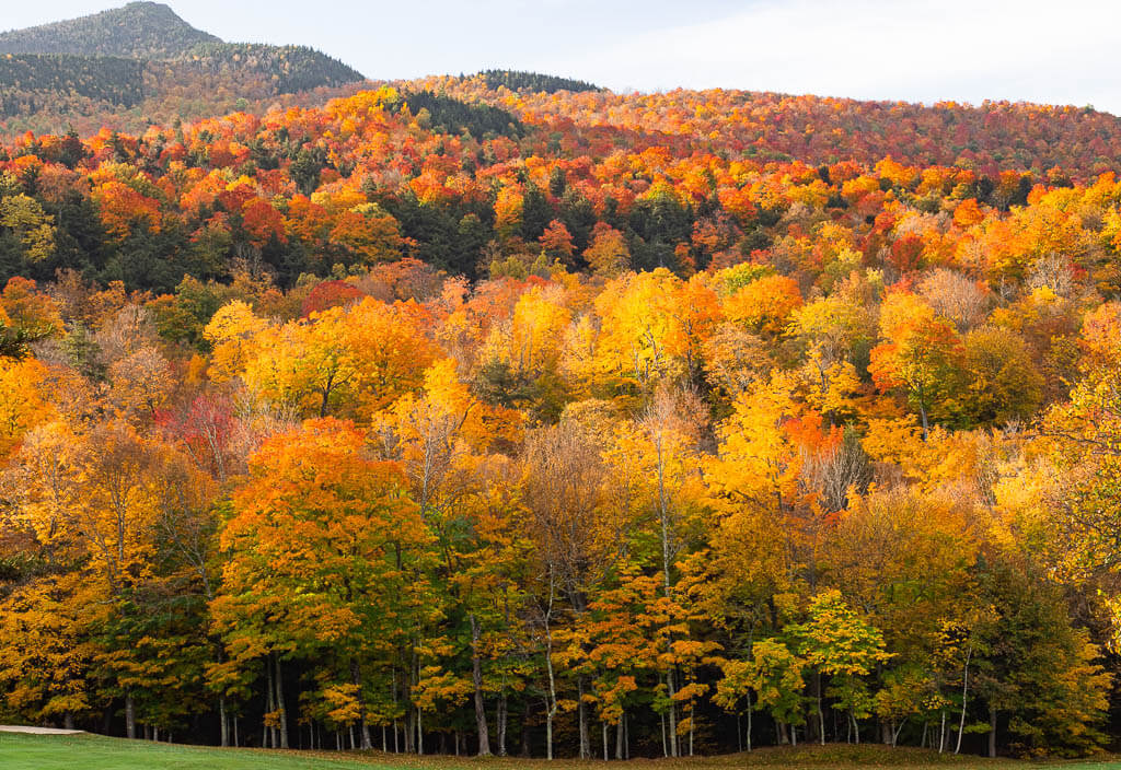 Vibrant colors during fall foliage in New York