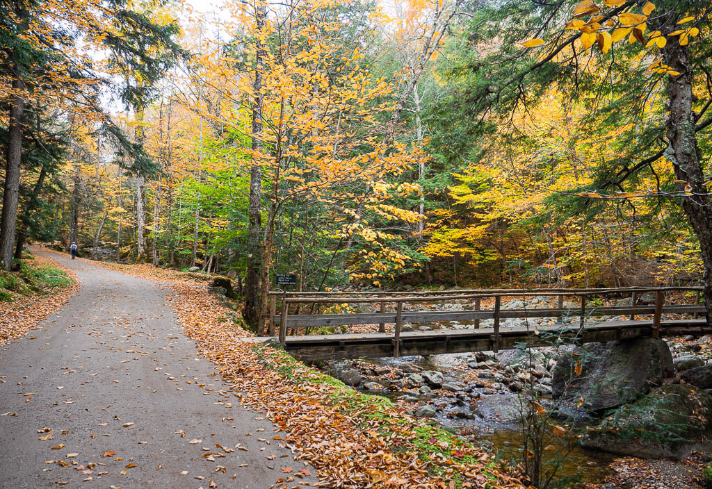 Hiking on Lake Road to the Indian Head NY