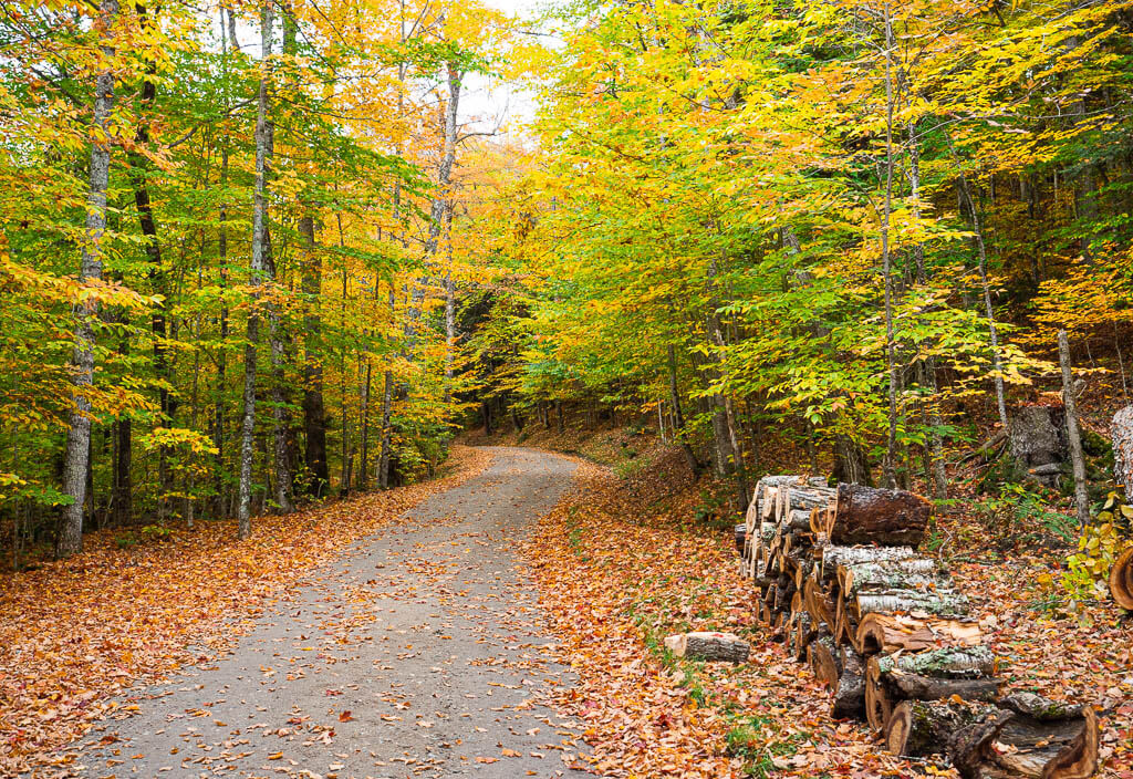 Hiking on Lake Road to Indian Head NY