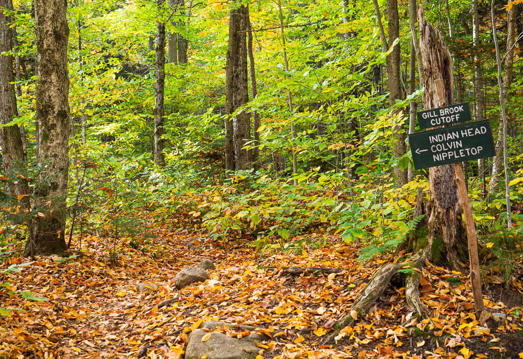 Don't miss the small signs on the Indian Head Hike