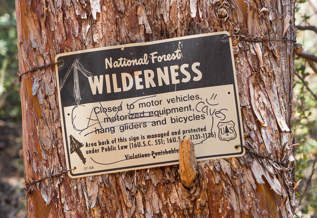 National Forest Wilderness Soldiers Pass Trail sign