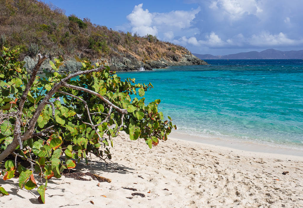 Virgin Island is one of the most tropical east coast national parks