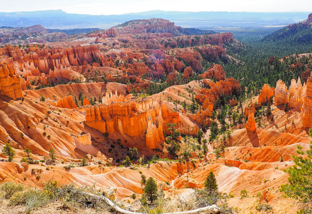 Hoodoos in Bryce Canyon National Park