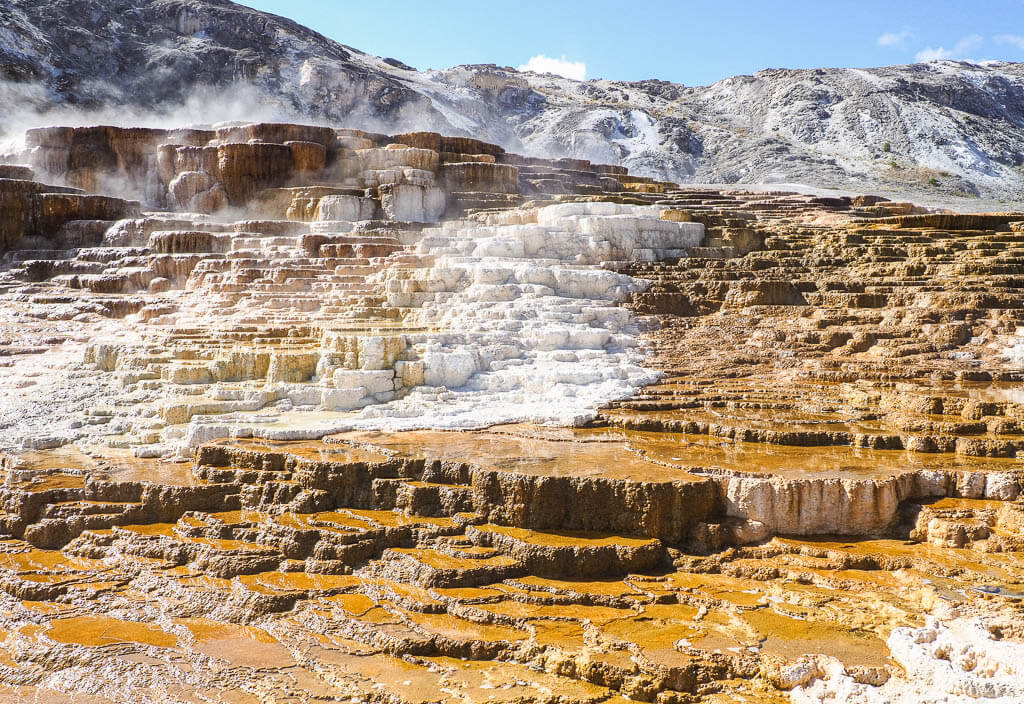 Steaming hot springs in Yellowstone