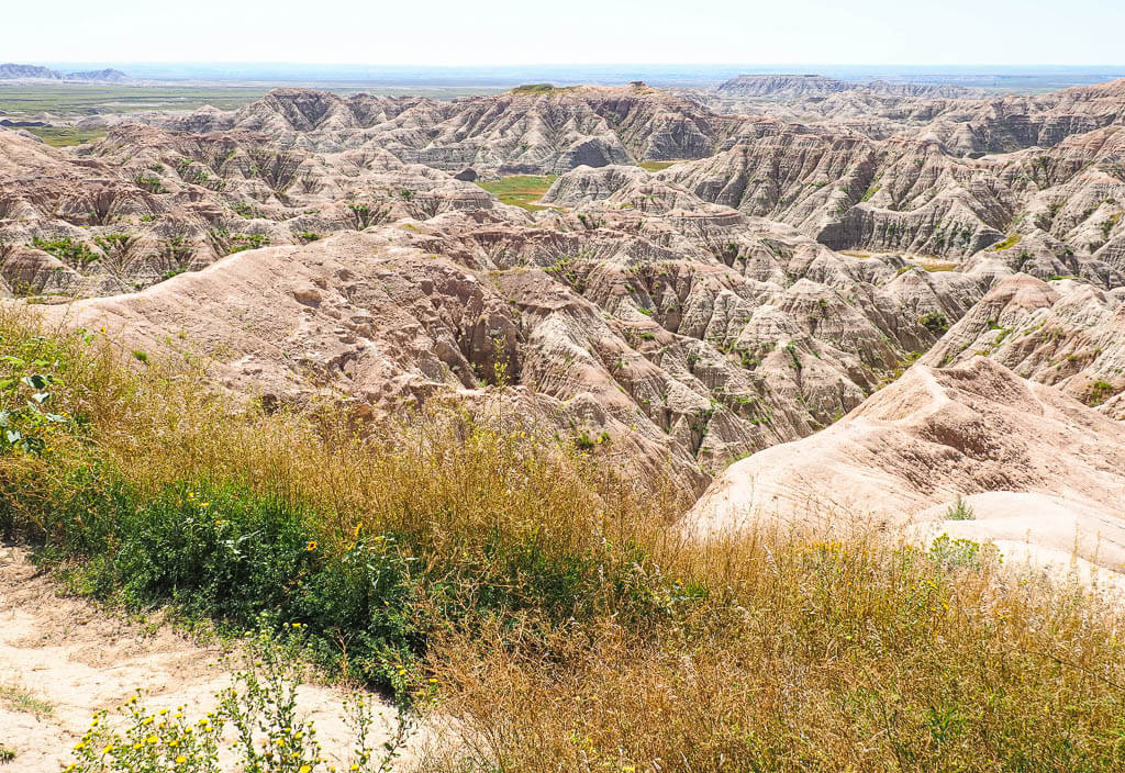 Yellow mounds in the US National Park Badlands