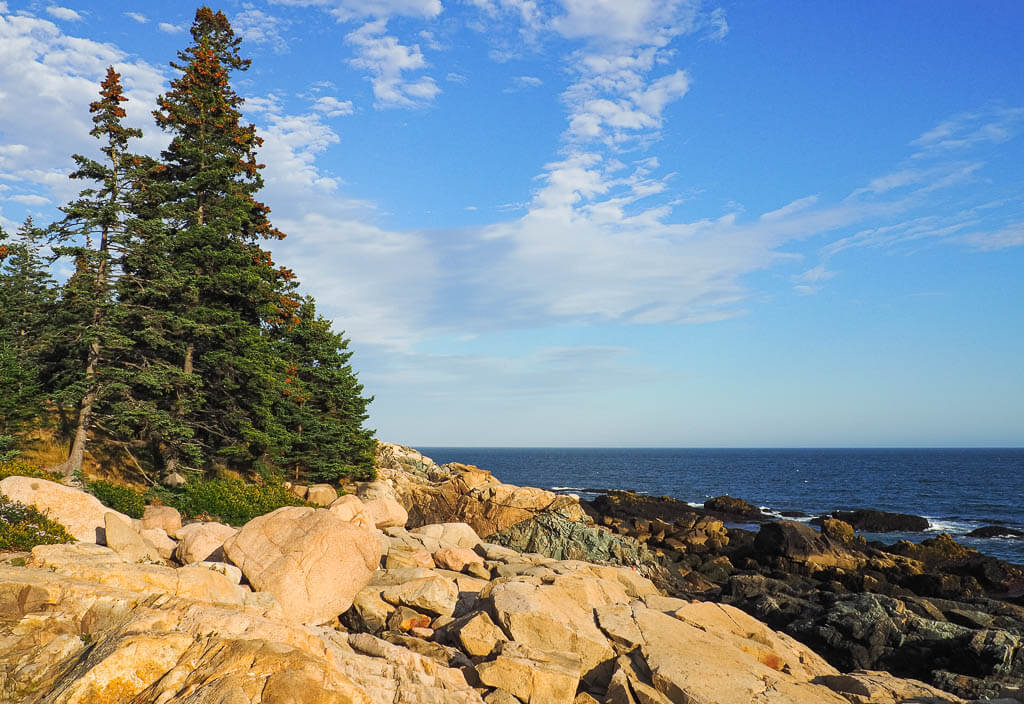 Rocky coastline in Acadia National Park