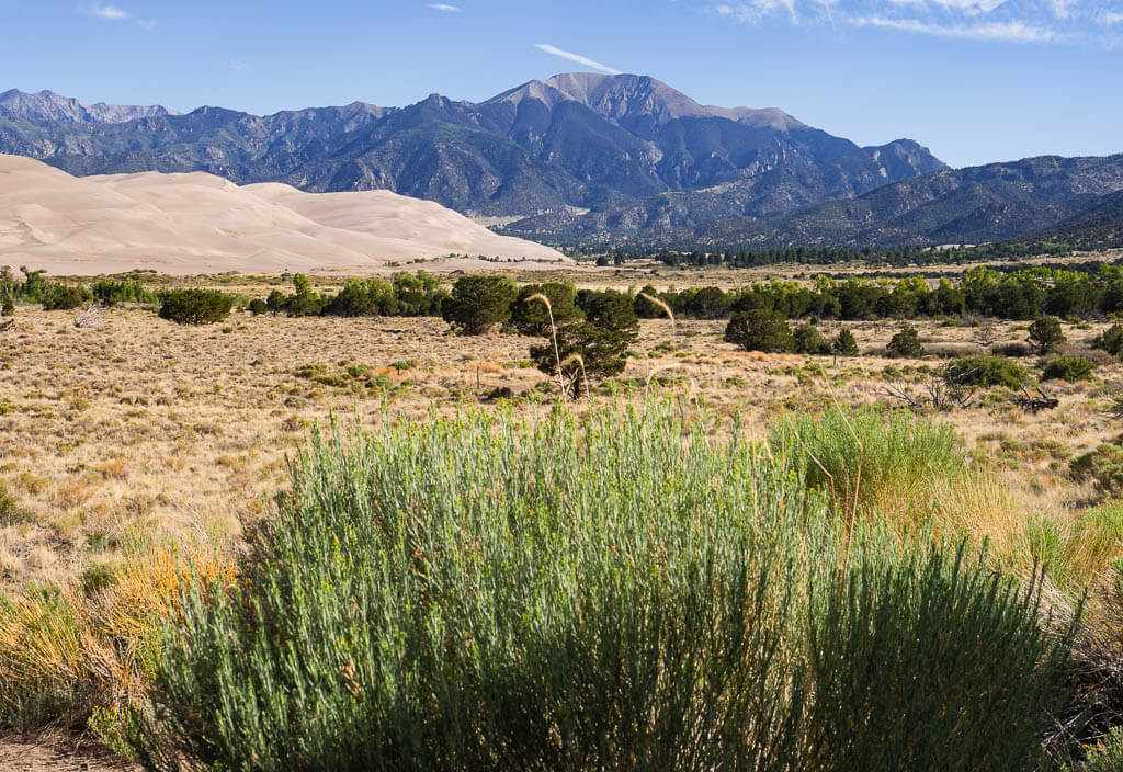 Different landscapes in Great Sand Dunes National Park