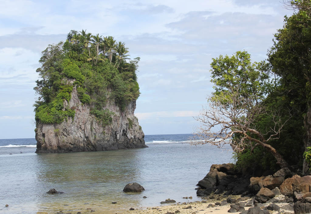 Rock with various plants in the middle of the ocean in one of the west coast national parks. 