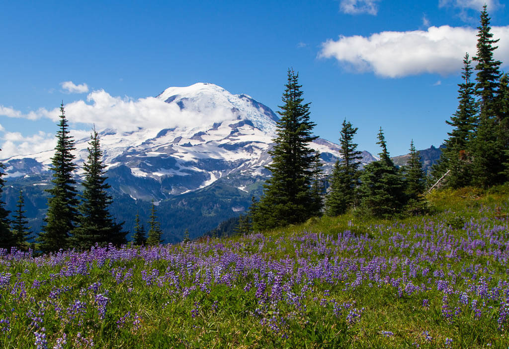 Snowy mountain peaks at Mount Rainier National Park