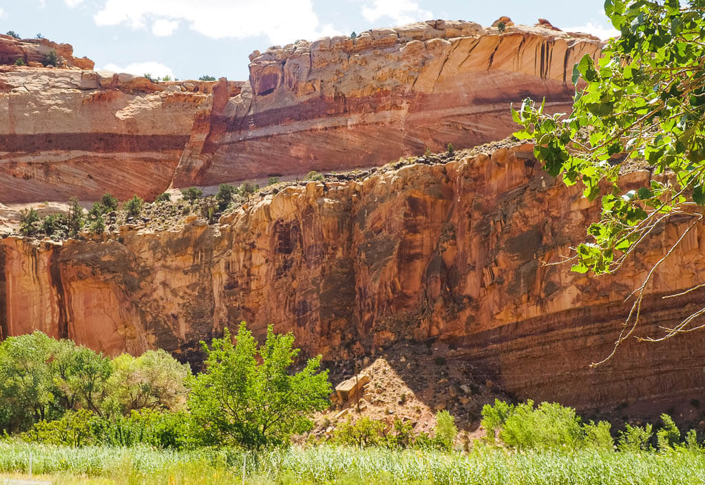 High canyon walls in Capitol Reef