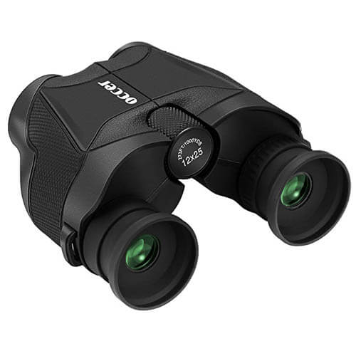 Compact binoculars