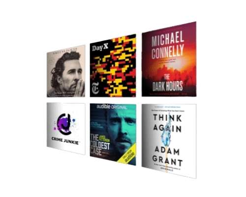 Different audiobooks from audible