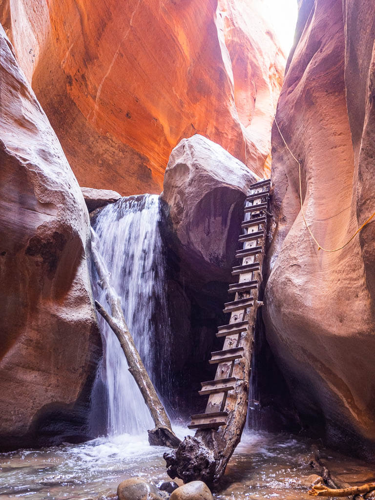 A ladder leading up the first falls of the Kanarra Falls in Utah