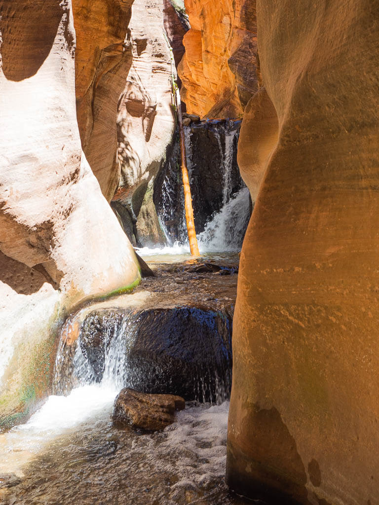 A log coming down the second waterfall