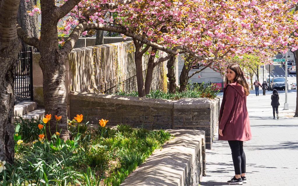 Dana standing under cherry blossom trees next to the Sakura Park