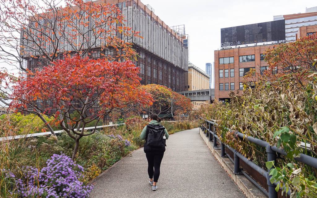 Rachel walking the High Line in the fall