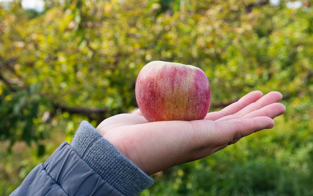 Rachel holding an apple in her hand