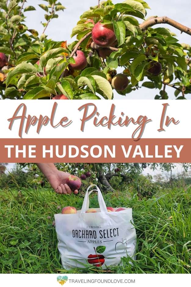 Top: Apples on an apple tree, Bottom: Bag full with apples